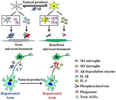 Editorial: Treatment of Alzheimer’s disease-discovery of natural products based on neurite outgrowth and neuroprotection